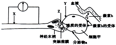 菁優(yōu)網(wǎng)