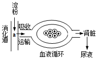 菁優(yōu)網