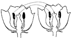 菁優(yōu)網