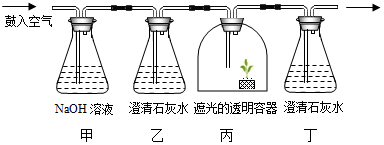 菁優(yōu)網