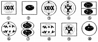 菁優(yōu)網