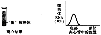 菁優(yōu)網