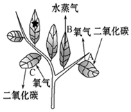 菁優(yōu)網(wǎng)