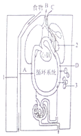 菁優(yōu)網(wǎng)