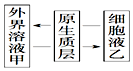 菁優(yōu)網(wǎng)