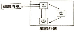 菁優(yōu)網(wǎng)