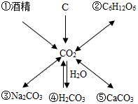 菁優(yōu)網(wǎng)