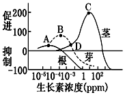 菁優(yōu)網(wǎng)