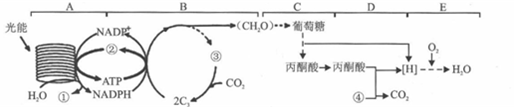 菁優(yōu)網(wǎng)