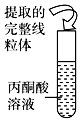 菁優(yōu)網(wǎng)