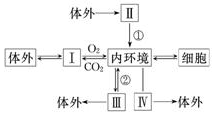 菁優(yōu)網(wǎng)