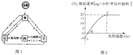 菁優(yōu)網(wǎng)