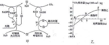 菁優(yōu)網(wǎng)