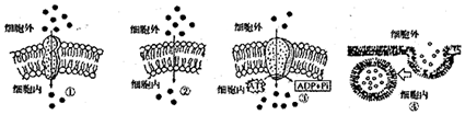 菁優(yōu)網(wǎng)