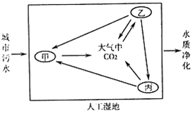 菁優(yōu)網(wǎng)