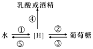 菁優(yōu)網(wǎng)