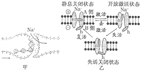 菁優(yōu)網(wǎng)