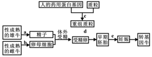 菁優(yōu)網