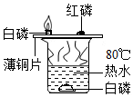 菁優(yōu)網(wǎng)