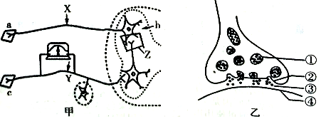 菁優(yōu)網(wǎng)