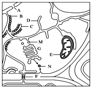 菁優(yōu)網(wǎng)