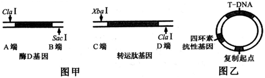 菁優(yōu)網(wǎng)