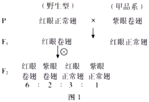 菁優(yōu)網