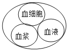 菁優(yōu)網