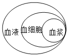 菁優(yōu)網