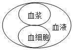 菁優(yōu)網