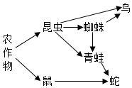 菁優(yōu)網(wǎng)