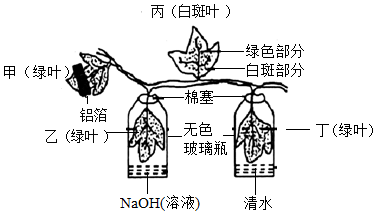 菁優(yōu)網(wǎng)