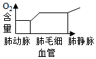 菁優(yōu)網