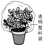 菁優(yōu)網