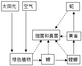 菁優(yōu)網(wǎng)