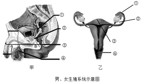 菁優(yōu)網