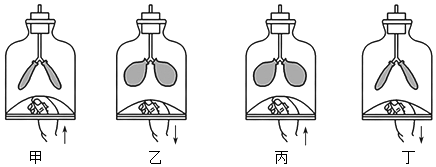 菁優(yōu)網