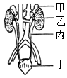 菁優(yōu)網(wǎng)