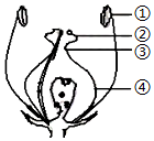 菁優(yōu)網(wǎng)