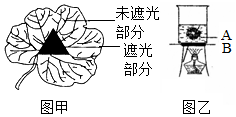 菁優(yōu)網(wǎng)