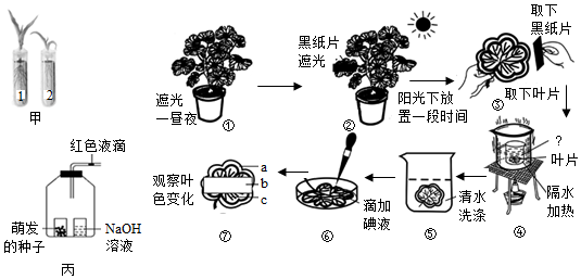 菁優(yōu)網(wǎng)