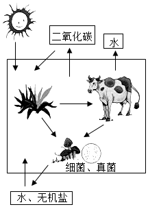 菁優(yōu)網(wǎng)