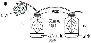 菁優(yōu)網(wǎng)