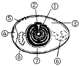 菁優(yōu)網(wǎng)