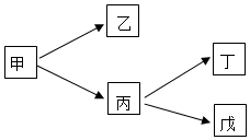 菁優(yōu)網(wǎng)