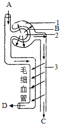 菁優(yōu)網(wǎng)