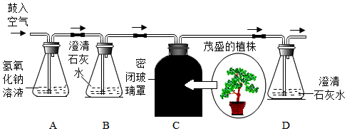 菁優(yōu)網(wǎng)