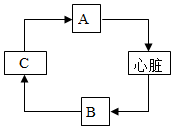 菁優(yōu)網(wǎng)