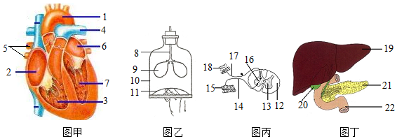 菁優(yōu)網(wǎng)