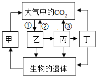 菁優(yōu)網